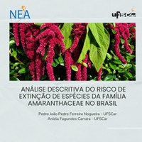 Artigo do Coordenador de Pesquisa de Meio Ambiente do NEA, foi publicado na Revista Administração e Negócios da Amazônia