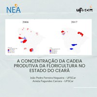 Artigo do Coordenador de Pesquisa de Meio Ambiente do NEA junto com a Professora Aniela Fagundes Carrara foi publicada na  Revista  de Economia Regional  Urbana e do Trabalho